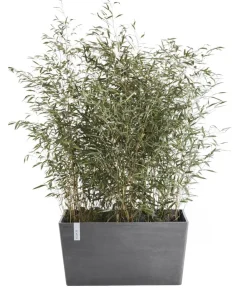 Ecopots Kunststoff-Kasten Paris, rechteckig Grau Best