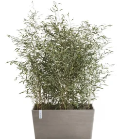 Ecopots Pflanzkübel & Blumenkästen - Kunststoff-Kasten Paris, rechteckig Taupe
