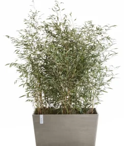 Ecopots Pflanzkübel & Blumenkästen - Kunststoff-Kasten Paris, rechteckig Taupe