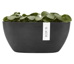 Ecopots Blumenampeln & -Schalen|Blumentöpfe & Übertöpfe > Kunststoff-Schale Sofia mit Wassersystem, oval