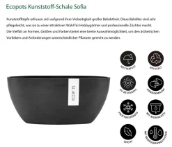 Ecopots Blumenampeln & -Schalen|Blumentöpfe & Übertöpfe > Kunststoff-Schale Sofia mit Wassersystem, oval