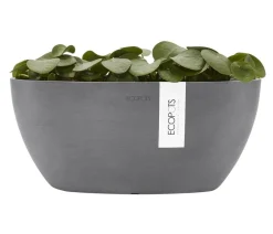 Ecopots Kunststoff-Schale Sofia mit Wassersystem, oval Grau Sale