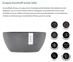 Ecopots Kunststoff-Schale Sofia mit Wassersystem, oval Grau Sale