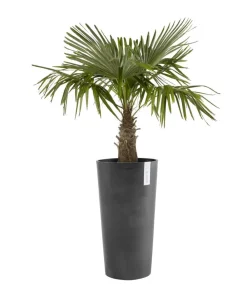 Ecopots Kunststoff-Topf Amsterdam hoch, rund Dunkelgrau Best