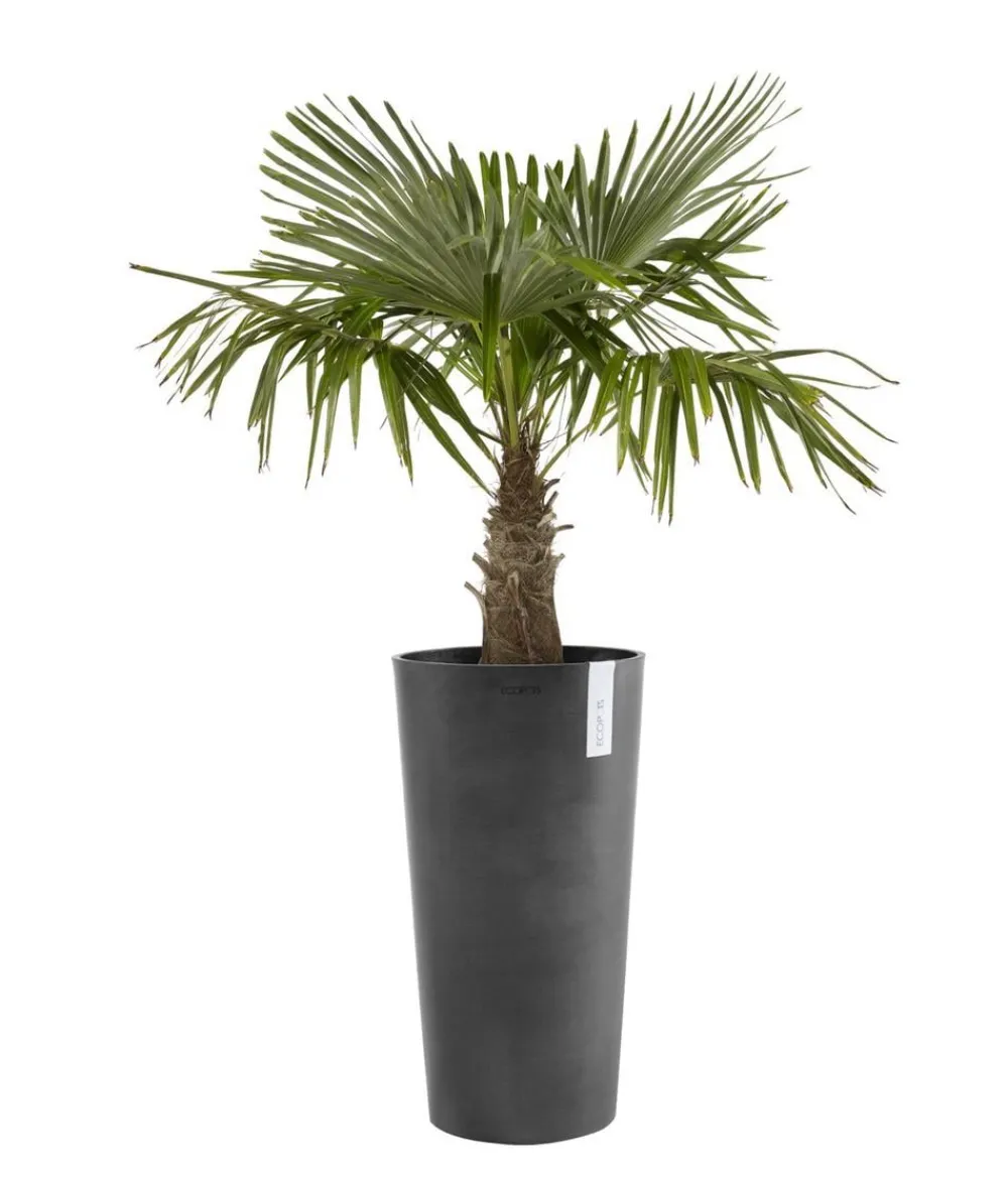Ecopots Kunststoff-Topf Amsterdam hoch, rund Dunkelgrau Best