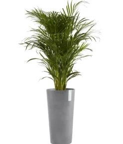 Ecopots Blumentöpfe & Übertöpfe > Kunststoff-Topf Amsterdam hoch, rund