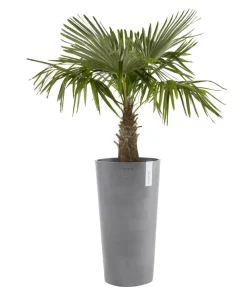 Ecopots Kunststoff-Topf Amsterdam hoch, rund Grau Sale