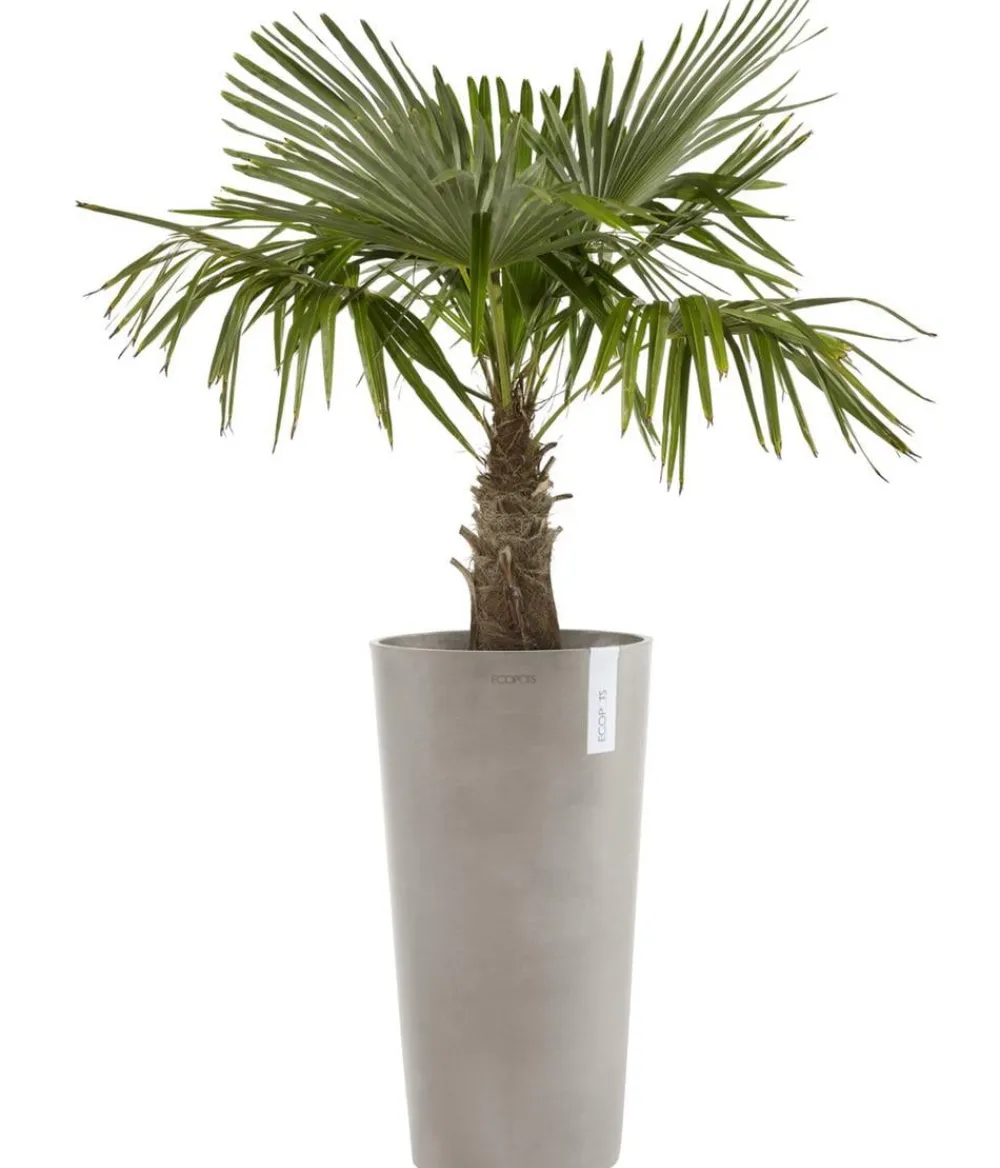 Ecopots Blumentöpfe & Übertöpfe - Kunststoff-Topf Amsterdam hoch, rund Dunkelgrau