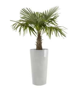 Ecopots Kunststoff-Topf Amsterdam hoch, rund Hellgrau Online