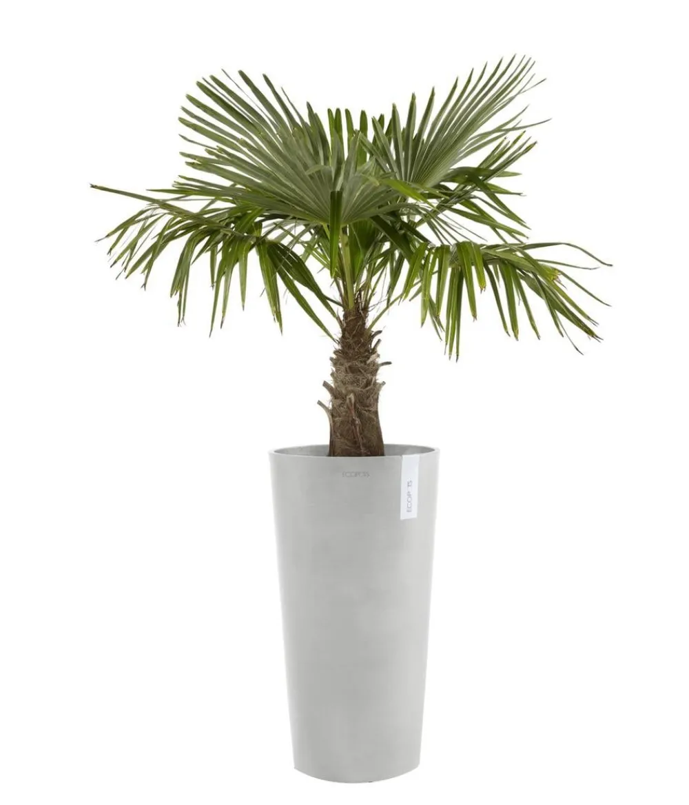 Ecopots Kunststoff-Topf Amsterdam hoch, rund Hellgrau Online