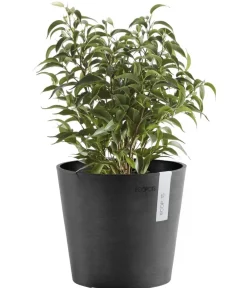 Ecopots Blumentöpfe & Übertöpfe > Kunststoff-Topf Amsterdam Mini, rund, ca. Ø17/H14,7 cm