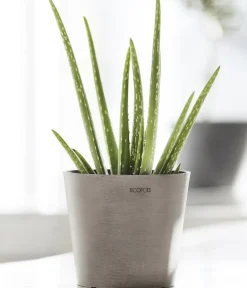 Ecopots Blumentöpfe & Übertöpfe - Kunststoff-Topf Amsterdam Mini, rund, ca. Ø17/H14,7 cm Taupe