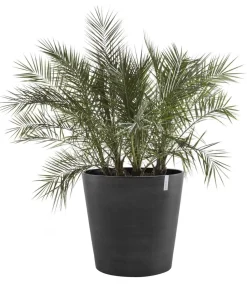 Ecopots Blumentöpfe & Übertöpfe > Kunststoff-Topf Amsterdam mit Rollen, rund