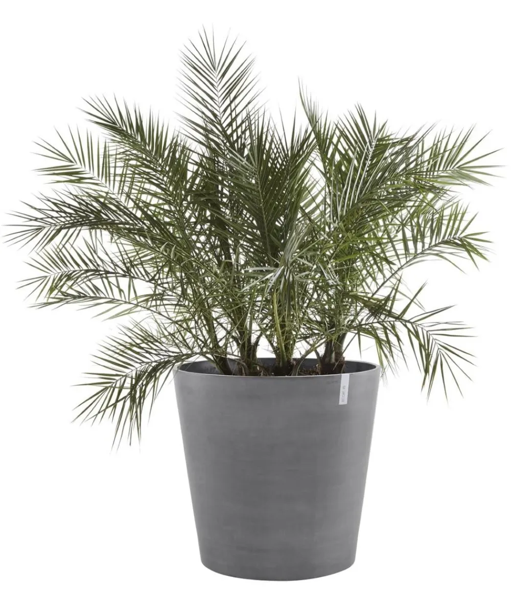 Ecopots Kunststoff-Topf Amsterdam mit Rollen, rund Grau Online
