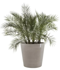 Ecopots Kunststoff-Topf Amsterdam mit Rollen, rund Taupe