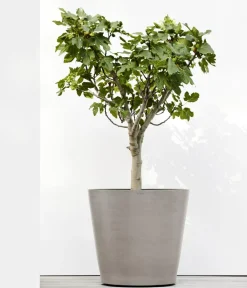 Ecopots Kunststoff-Topf Amsterdam mit Rollen, rund Taupe