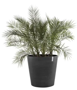 Ecopots Blumentöpfe & Übertöpfe - Kunststoff-Topf Amsterdam mit Rollen, rund Dunkelgrau