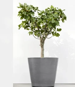 Ecopots Blumentöpfe & Übertöpfe - Kunststoff-Topf Amsterdam mit Rollen, rund Grau