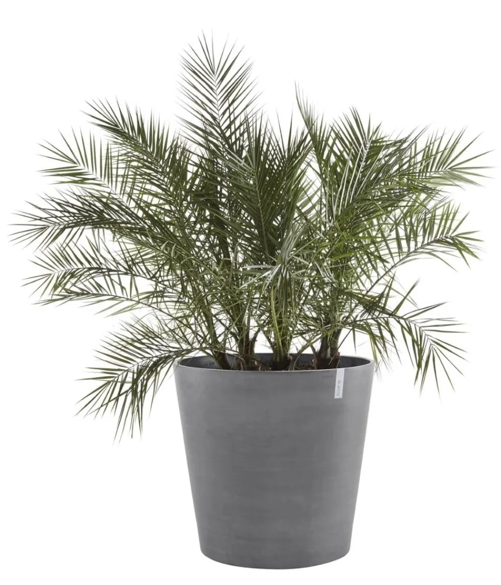 Ecopots Blumentöpfe & Übertöpfe - Kunststoff-Topf Amsterdam mit Rollen, rund Grau