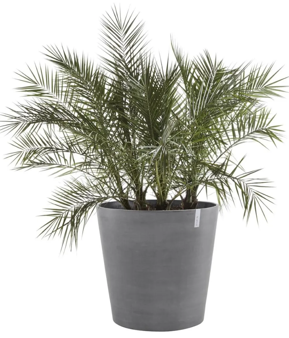 Ecopots Blumentöpfe & Übertöpfe - Kunststoff-Topf Amsterdam mit Rollen, rund Grau