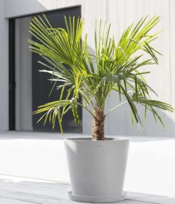 Ecopots Blumentöpfe & Übertöpfe > Kunststoff-Topf Amsterdam mit Wassersystem, rund