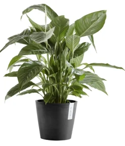 Ecopots Blumentöpfe & Übertöpfe > Kunststoff-Topf Amsterdam mit Wassersystem, rund