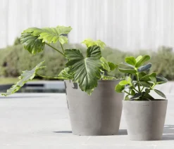 Ecopots Blumentöpfe & Übertöpfe > Kunststoff-Topf Amsterdam mit Wassersystem, rund