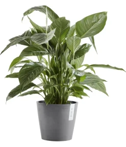 Ecopots Kunststoff-Topf Amsterdam mit Wassersystem, rund Grau Discount