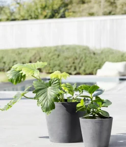 Ecopots Kunststoff-Topf Amsterdam mit Wassersystem, rund Grau Discount