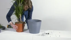 Ecopots Kunststoff-Topf Amsterdam mit Wassersystem, rund Dunkelgrau Outlet