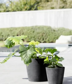 Ecopots Kunststoff-Topf Amsterdam mit Wassersystem, rund Dunkelgrau Outlet