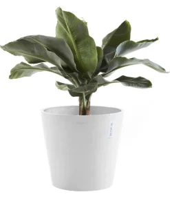 Ecopots Kunststoff-Topf Amsterdam mit Wassersystem, rund Weiß New