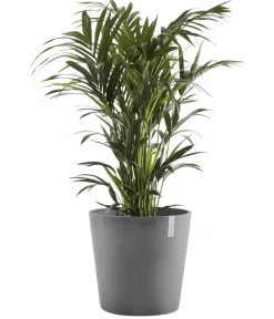 Ecopots Blumentöpfe & Übertöpfe > Kunststoff-Topf Amsterdam, rund