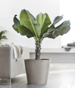 Ecopots Blumentöpfe & Übertöpfe > Kunststoff-Topf Amsterdam, rund