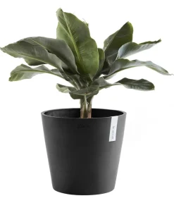 Ecopots Blumentöpfe & Übertöpfe > Kunststoff-Topf Amsterdam, rund