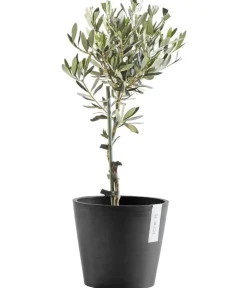 Ecopots Kunststoff-Topf Amsterdam, rund Dunkelgrau Clearance