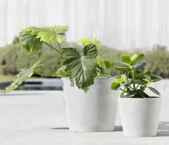 Ecopots Blumentöpfe & Übertöpfe - Kunststoff-Topf Amsterdam, rund Weiß