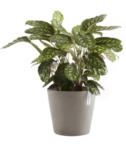 Ecopots Blumentöpfe & Übertöpfe - Kunststoff-Topf Amsterdam, rund Taupe