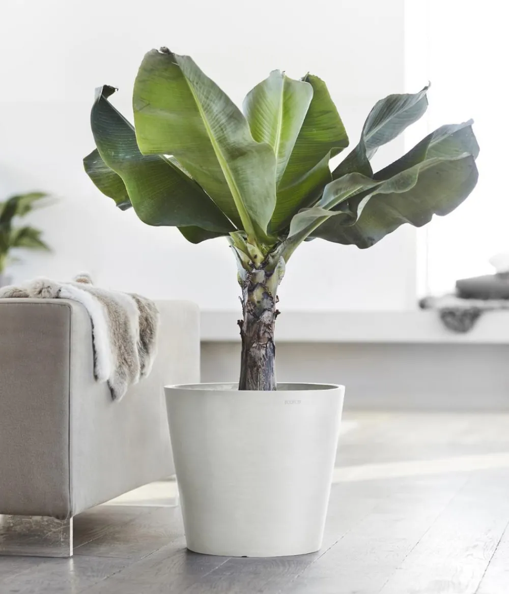 Ecopots Blumentöpfe & Übertöpfe - Kunststoff-Topf Amsterdam, rund Weiß