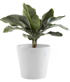 Ecopots Blumentöpfe & Übertöpfe - Kunststoff-Topf Amsterdam, rund Weiß