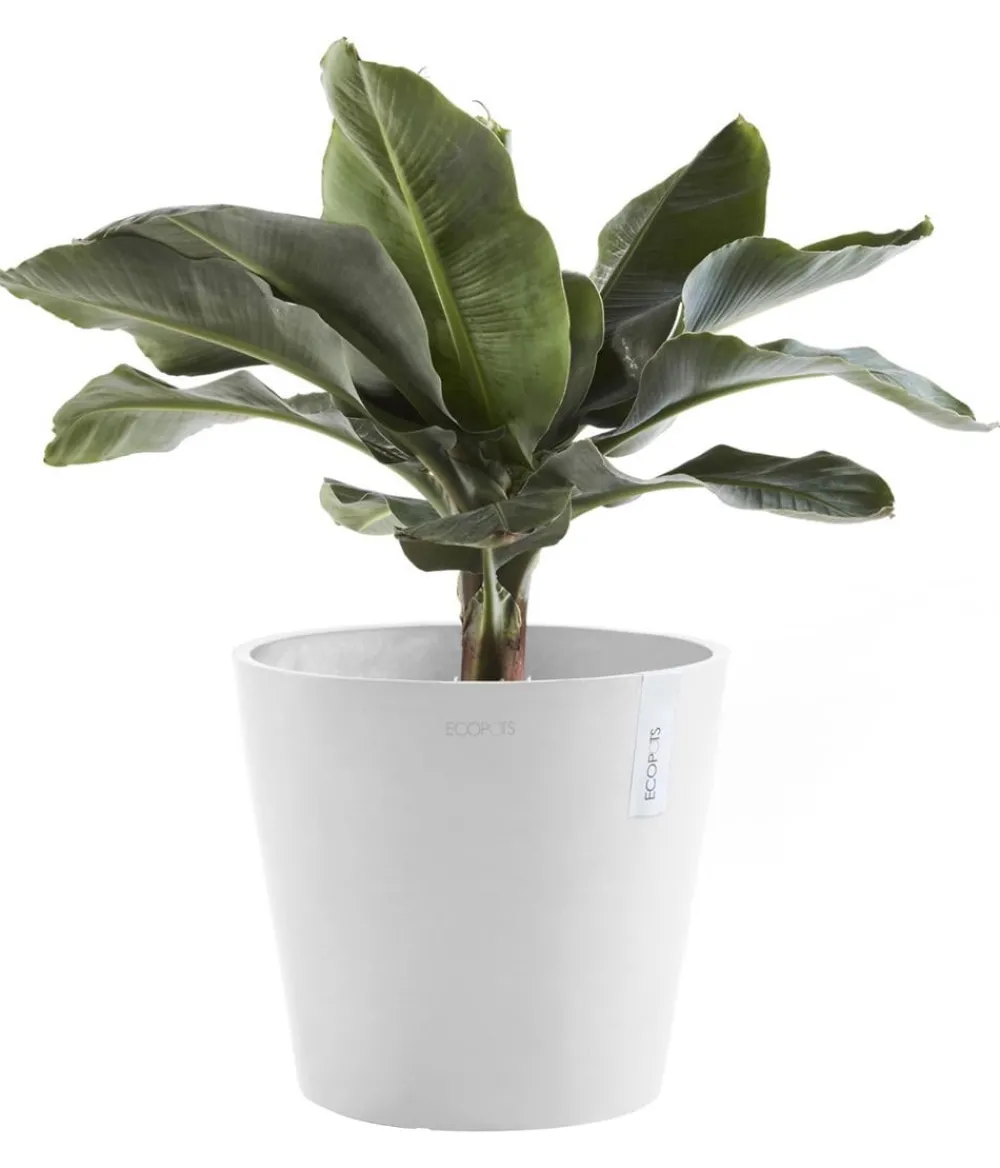 Ecopots Blumentöpfe & Übertöpfe - Kunststoff-Topf Amsterdam, rund Weiß