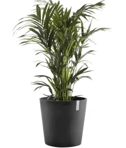 Ecopots Blumentöpfe & Übertöpfe - Kunststoff-Topf Amsterdam, rund Grau