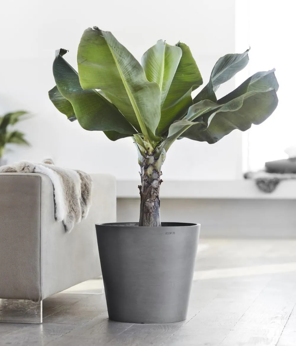 Ecopots Blumentöpfe & Übertöpfe - Kunststoff-Topf Amsterdam, rund Grau