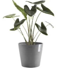 Ecopots Blumentöpfe & Übertöpfe - Kunststoff-Topf Amsterdam, rund Grau