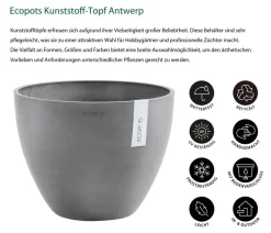 Ecopots Blumentöpfe & Übertöpfe > Kunststoff-Topf Antwerp, rund
