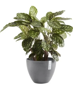 Ecopots Blumentöpfe & Übertöpfe > Kunststoff-Topf Antwerp, rund