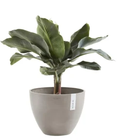 Ecopots Blumentöpfe & Übertöpfe > Kunststoff-Topf Antwerp, rund