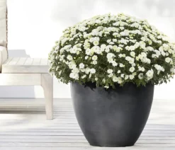 Ecopots Kunststoff-Topf Antwerp, rund Dunkelgrau
