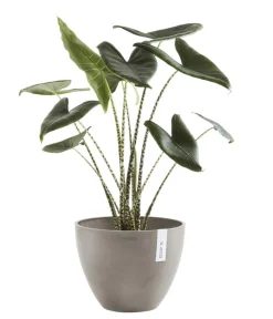 Ecopots Kunststoff-Topf Antwerp, rund Taupe Sale