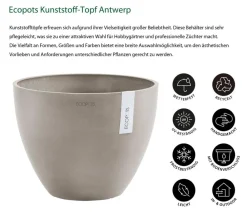 Ecopots Kunststoff-Topf Antwerp, rund Taupe Sale